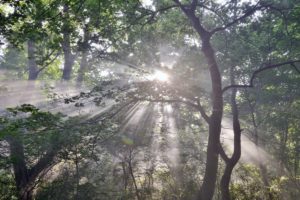 価値ある生き方を、ともに
